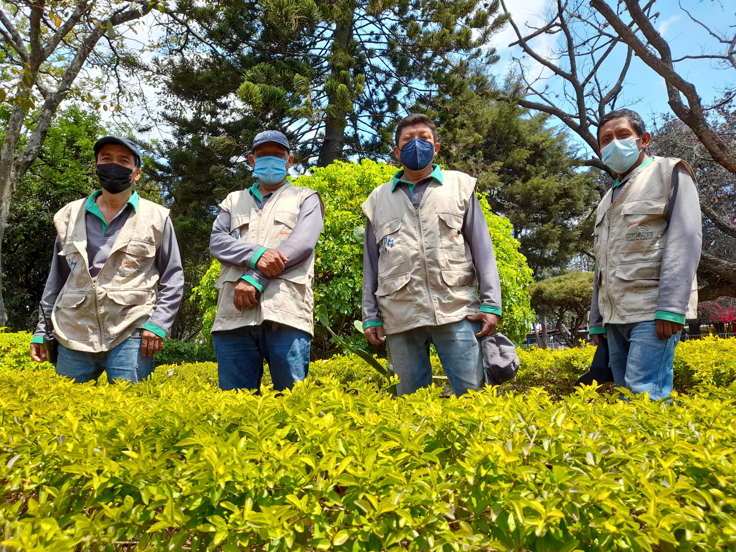 jardineros trabajando